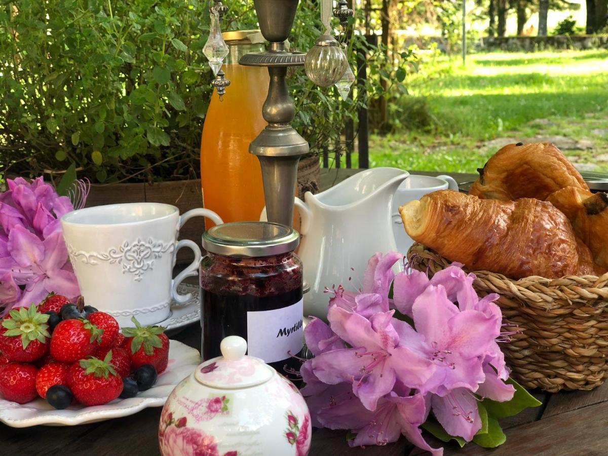 Manoir De Chantemerle Sainte-Fortunade Εξωτερικό φωτογραφία