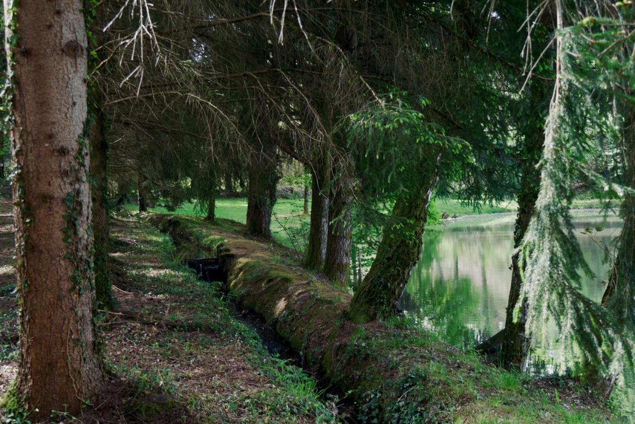 Manoir De Chantemerle Sainte-Fortunade Εξωτερικό φωτογραφία